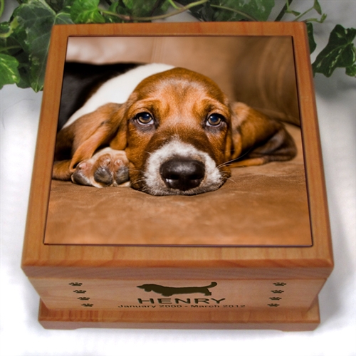 pet urns for small dogs
